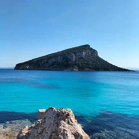 Lilly's House Guest house 3*