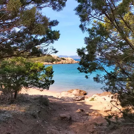 Lilly's House Guest house