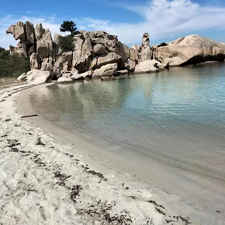 Guest house Lilly's House