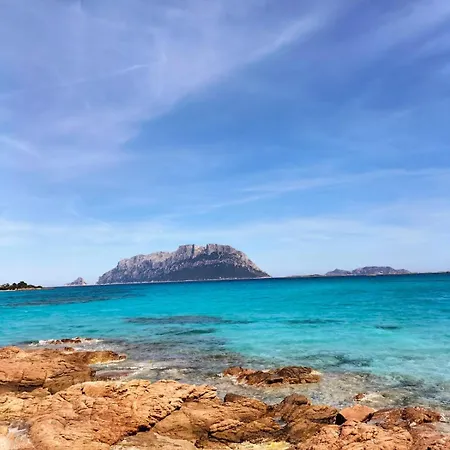 Lilly's House 招待所 3*