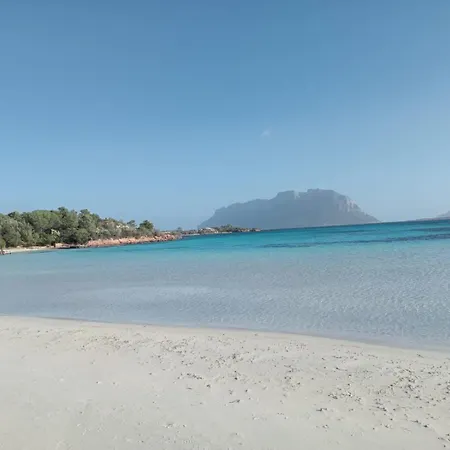 Gasthof Lilly's House 3*